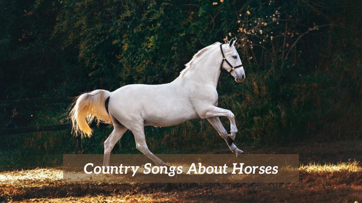 Country Songs About Horses