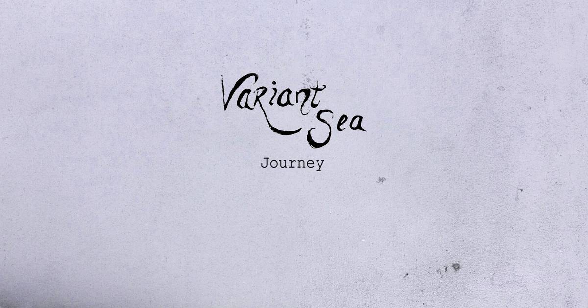 Variant Sea: Journey - Potent and poised post-rock bliss – The Irish Times
