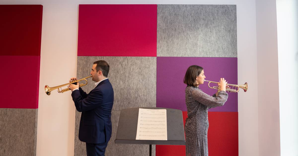Royal Irish Academy of Music unveils €25m addition to its Georgian Dublin home – The Irish Times